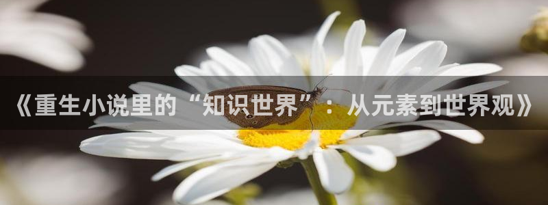 斗破苍穹 小说起点：《重生小说里的“知识世界”：从元素到世界观》