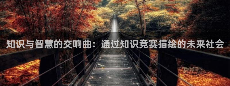 小说排行榜起点中文网：知识与智慧的交响曲：通过知识竞赛描绘的未来社会